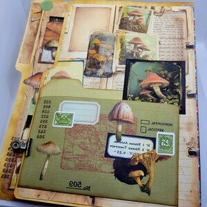 The Mycologist Desk Journal